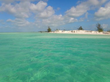 Maldivler 'de birkaç palmiye ağacı ve mavi lagünü olan tropik plaj
