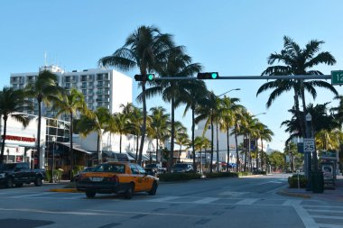 Miami Beach, Florida 'da sokak manzarası.