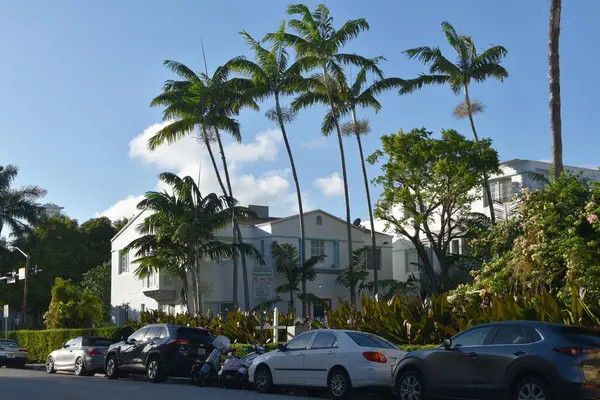 Miami Beach, Florida sokaklarında arabalar ve palmiye ağaçları. Miami Plajı, Florida eyaletinin en kalabalık şehridir..