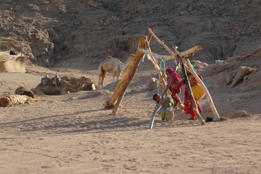 Göçebe bedevi Mısır çölünde, renkli elbiseli çocuklar bir salıncakta sallanıyor, Sahra Çölü, Mısır