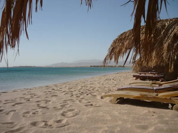 Mısır 'ın Hurghada kentindeki kumlu sahilde plaj sandalyeleri ve şemsiyeler
