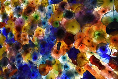Chihuly cam sanatı, Bellagio Oteli 'nin tavanında görünen renkli cam çiçek deseni.