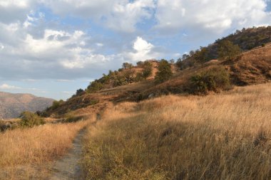 Dağların yamaçlarındaki kuru otlar.