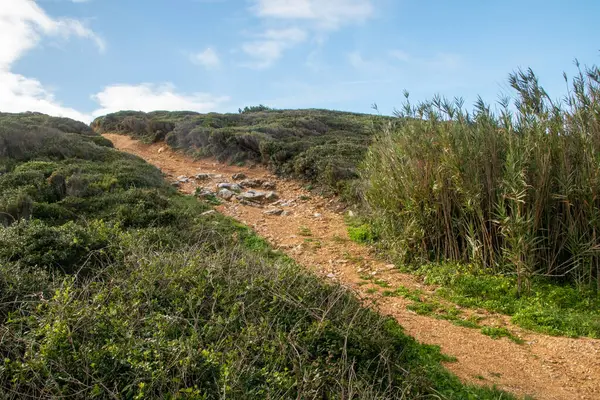 İtalya 'nın Sardunya adasının kumullarında yol