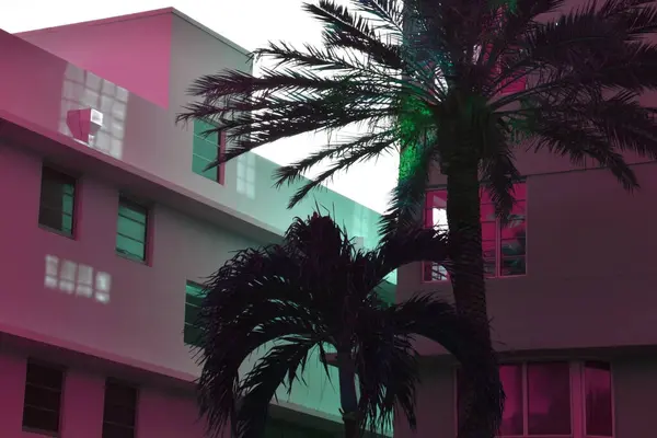 stock image Palm trees in front of a modern building in Miami, Florida.