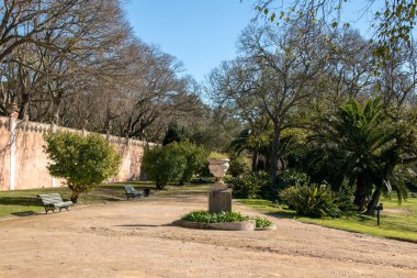 Güneşli bir günde yeşil park, Lizbon bahçesi