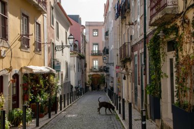 Eski Lizbon, Portekiz 'de dar bir sokak manzarası