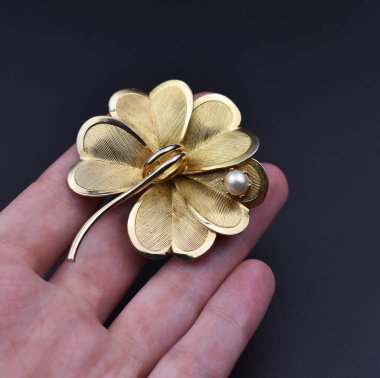 Siyah arka planda altın çiçekli bir broş tutuyor..