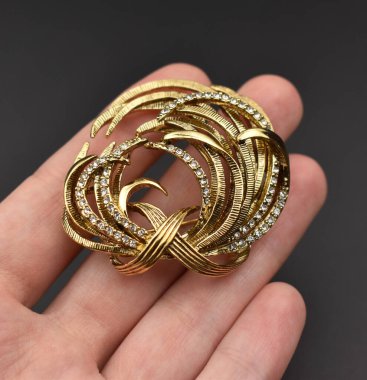 Elinde elmaslar olan altın bir broş.