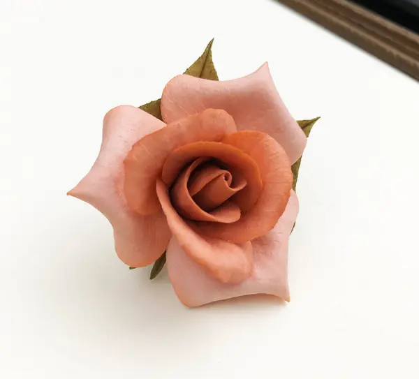 stock image pink rose on white background, close-up, selective focus