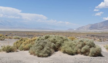 Ölüm Vadisi Ulusal Parkı, Kaliforniya, ABD.