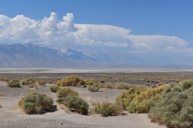Ölüm Vadisi, sıcak çöl dağların arka planında, ABD ulusal parkında.