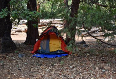 Ormanda kamp çadırı 