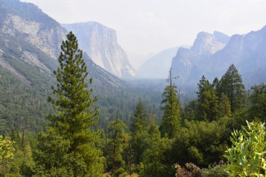Yosemite Vadisi Ulusal Parkı, Kaliforniya, Amerika Birleşik Devletleri