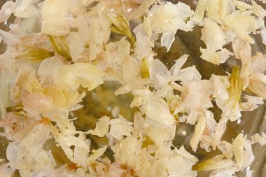 Yasemin çayı. Yasemin çiçekleri suda.