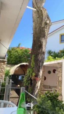 Lizbon, Portekiz 'deki yazlık kafede masada atıştırmalıklar var.