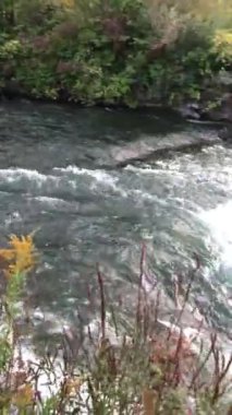 Niagara Nehri 'ndeki Niagara Şelalesi, New York, New York, ABD