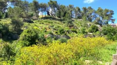 Portekiz, Sintra 'da çakıl yolu