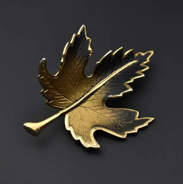 stock image Golden leaf on a black background, top view, close-up