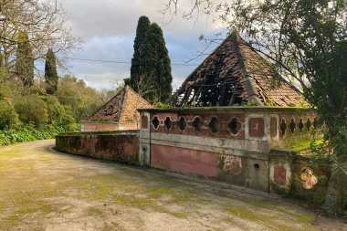 Güneşli bir günde yeşil park, Lizbon bahçesi