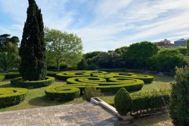 Güneşli bir günde yeşil parktaki selvi ve çalı çalıları Lizbon bahçesinde