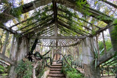 Botanik bahçesinin bahçesindeki eski sera.