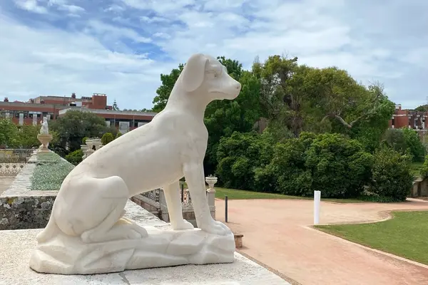 Parktaki bir köpek heykeli 