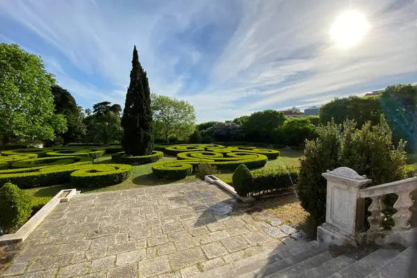 stock image Cypress and topiary bushes in green park on a sunny day, Lisbon garden