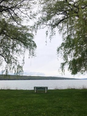 Ağlayan bir söğüt ağacıyla bir gölün kıyısında.