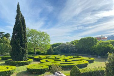 Yeşil çimenler ve mavi gökyüzü ile güzel bir bahçe manzarası.