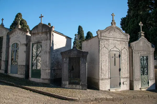 stock image Gothic cemetery in the old town of Lisbon, Portugal