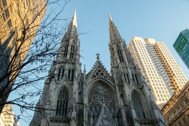 5. Cadde, Manhattan, New York 'taki St. Patrick Katedrali