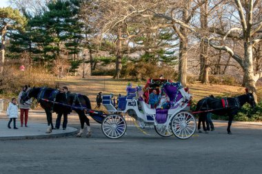 Central Park, New York City, Manhattan, New York, New York 'ta arabası olan bir at.