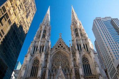 5. Cadde, Manhattan, New York 'taki St. Patrick Katedrali