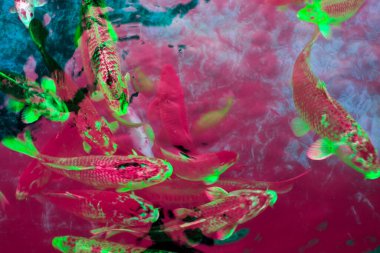 Bir sürü farklı renk ve leke olan soyut arkaplan