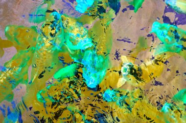 Gölette koi balığı, fotoğrafa yakın çekim, güzel bir resim.