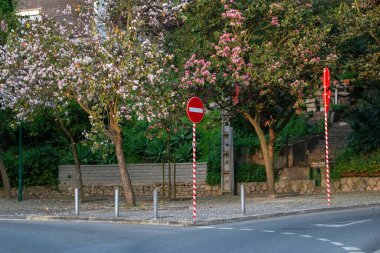 Caddenin ortasında, arkasında çiçekler olan yol tabelası.
