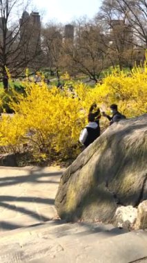 Ziyaretçiler, Manhattan, New York City, New York, ABD 'deki Central Park' ta vakit geçirmeyi seviyorlar..