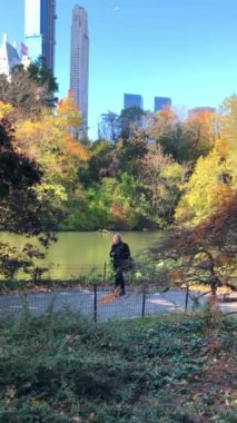 İnsanlar New York City, Manhattan, New York, ABD 'deki Central Park' ta vakit geçirmeyi seviyor..