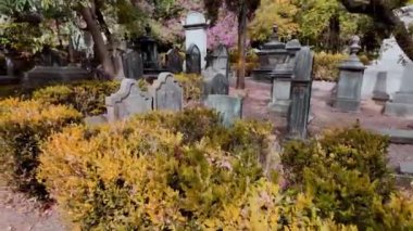 Mezar taşlı sessiz mezarlık, Lizbon, Portekiz