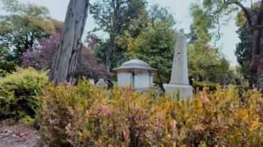 Lizbon, Portekiz 'deki mezarlıkta yosunlu mezar taşları