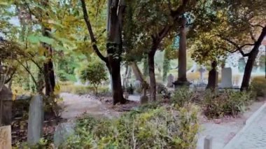 Yosun mezarlığı olan eski bir mezarlık, Lizbon, Portekiz