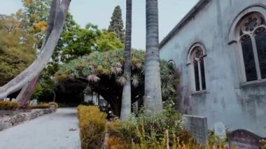 Lizbon, Portekiz 'deki eski mezarlıkta yosunlu taş mahzen.