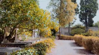 Yosun tutmuş mezar taşlarıyla yaşlanmış, Lizbon, Portekiz