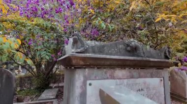 Sessiz mezarlıkta eski mezar taşları, Lizbon, Portekiz