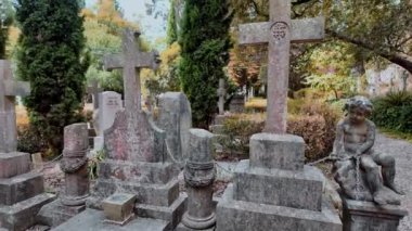 Lizbon, Portekiz 'deki mezarlıkta yosun kaplı bir mezar.