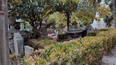 Yosun kaplı mezar taşları Lizbon, Portekiz