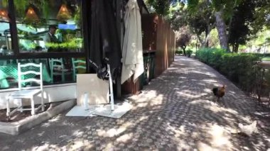 Meşhur Lizbon yolu, gezen turistler, tarihi atmosfer