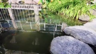 Lizbon Bahçe Tapınağı 'nda lüks bitkiler