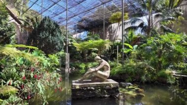 Lizbon 'un botanik alanında yoğun yeşil bitki örtüsü